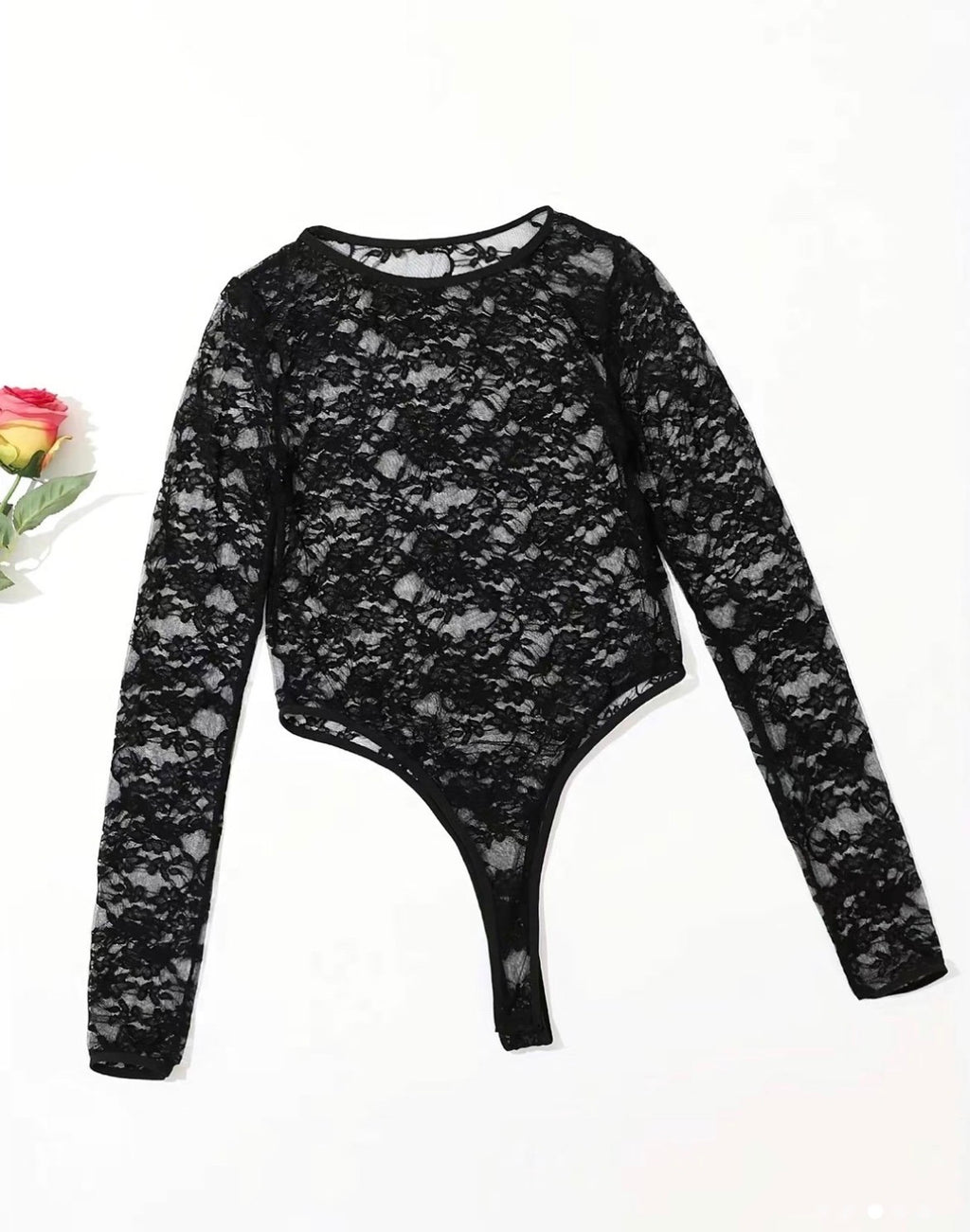 Sheer Lace Long-Sleeve Bodysuit