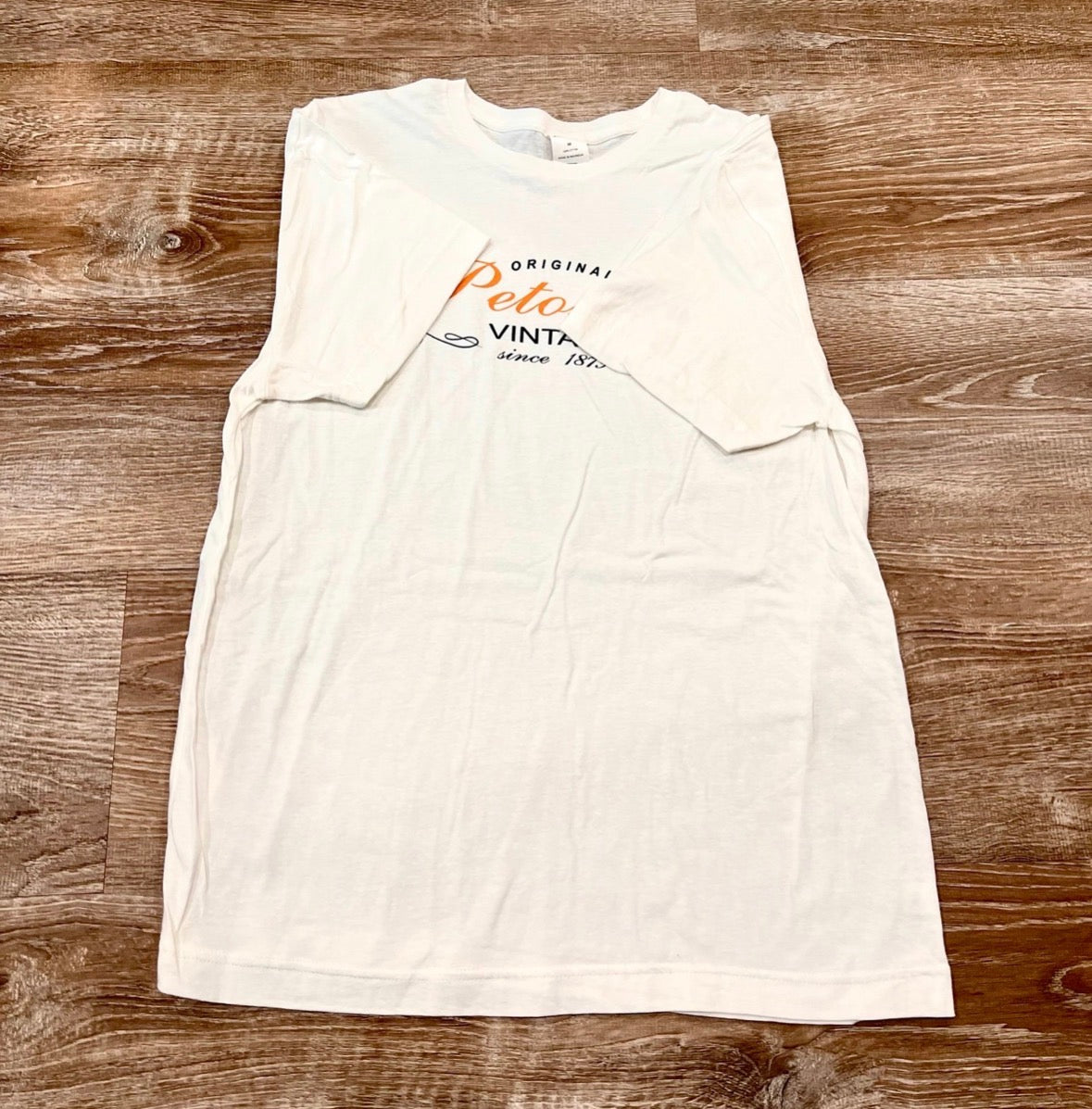 Petoskey michigan Vintage Graphic Tee
